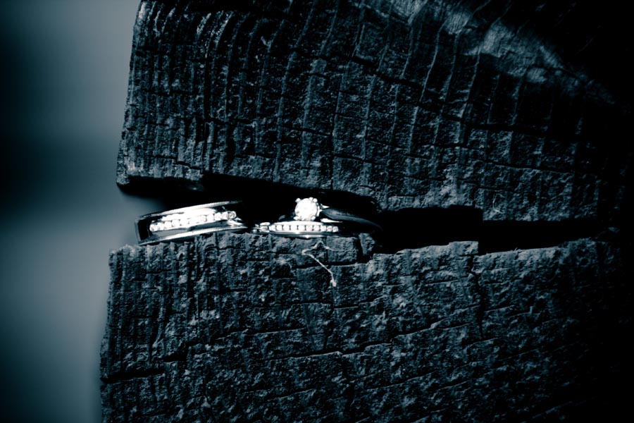 Edmonton Wedding photographers - Wedding Photography in Edmonton - Fine Art Wedding Photographs at McGrath Mansion